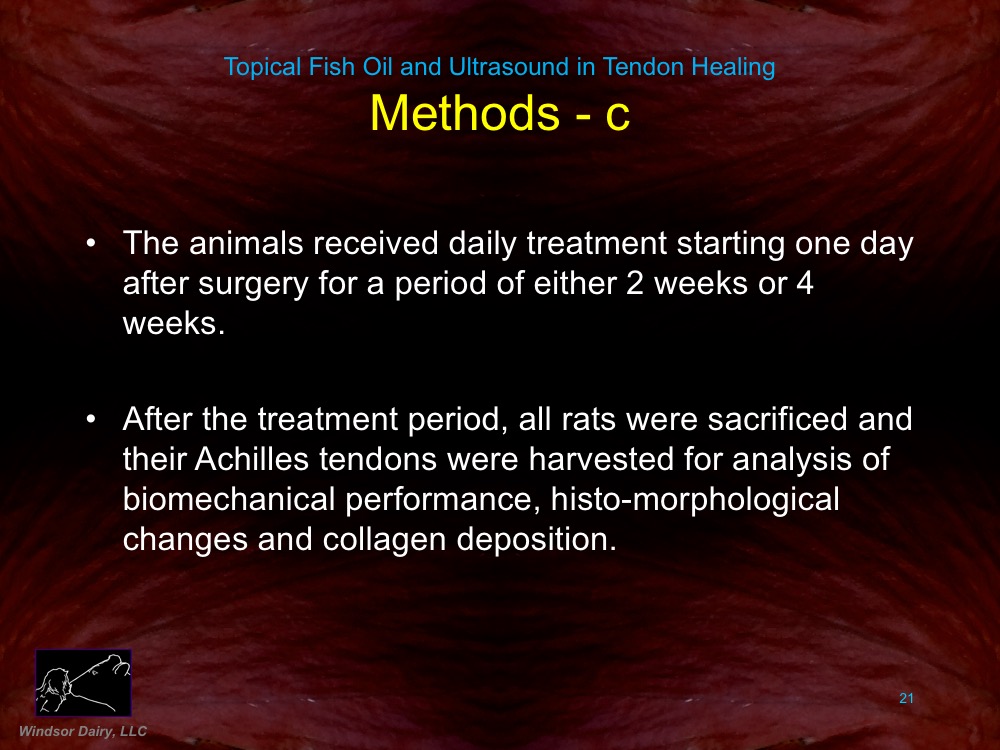 Topical Fish Oil and Ultrasound Assist Tendon Healing: Rat Study shows how various healing therapies compare